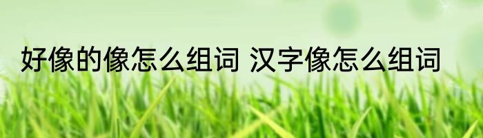 好像的像怎么组词 汉字像怎么组词