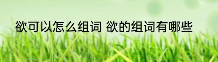 欲可以怎么组词 欲的组词有哪些