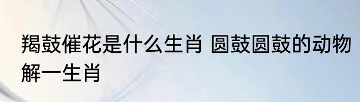 羯鼓催花是什么生肖 圆鼓圆鼓的动物解一生肖