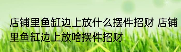 店铺里鱼缸边上放什么摆件招财 店铺里鱼缸边上放啥摆件招财