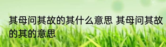 其母问其故的其什么意思 其母问其故的其的意思