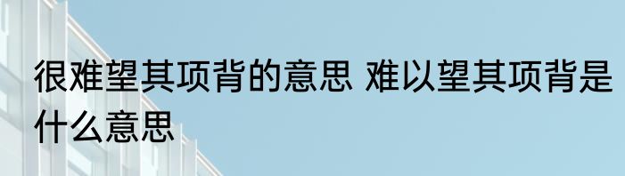很难望其项背的意思 难以望其项背是什么意思
