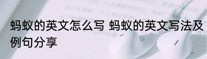 蚂蚁的英文怎么写 蚂蚁的英文写法及例句分享