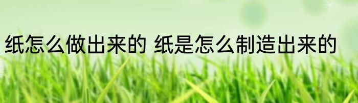 纸怎么做出来的 纸是怎么制造出来的