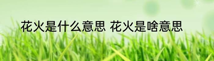 花火是什么意思 花火是啥意思