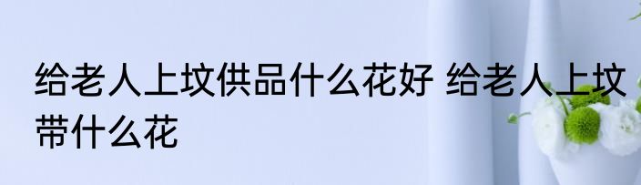 给老人上坟供品什么花好 给老人上坟带什么花