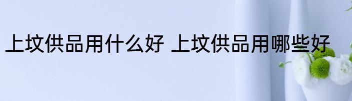 上坟供品用什么好 上坟供品用哪些好