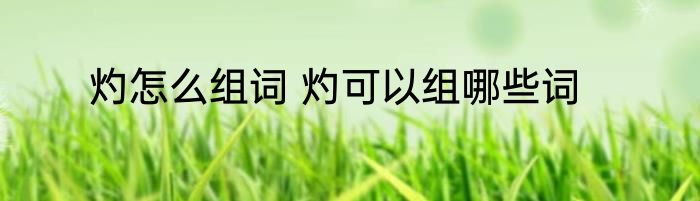 灼怎么组词 灼可以组哪些词