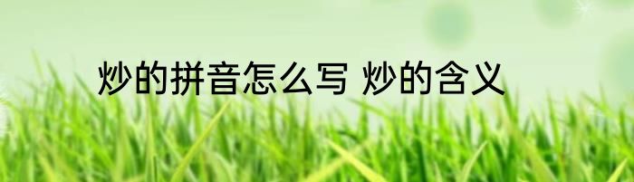 炒的拼音怎么写 炒的含义