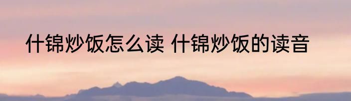 什锦炒饭怎么读 什锦炒饭的读音