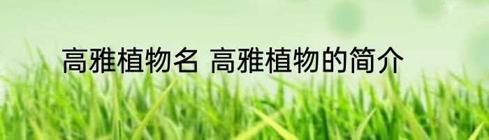 高雅植物名 高雅植物的简介
