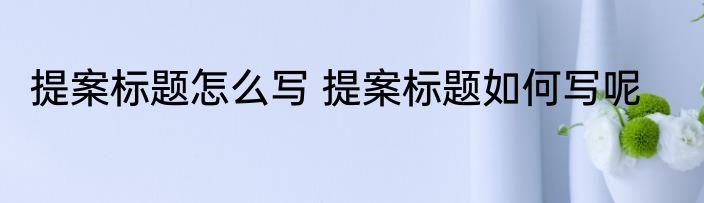 提案标题怎么写 提案标题如何写呢