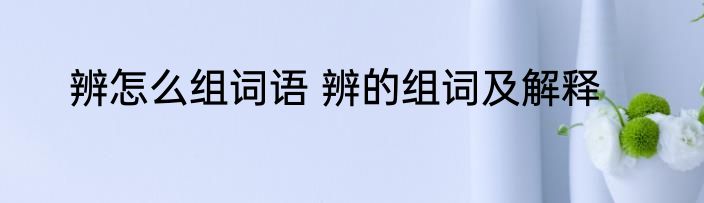 辨怎么组词语 辨的组词及解释