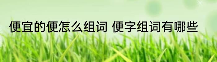 便宜的便怎么组词 便字组词有哪些