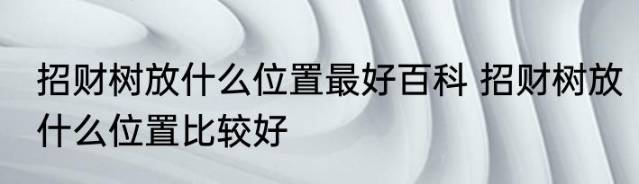 招财树放什么位置最好百科 招财树放什么位置比较好