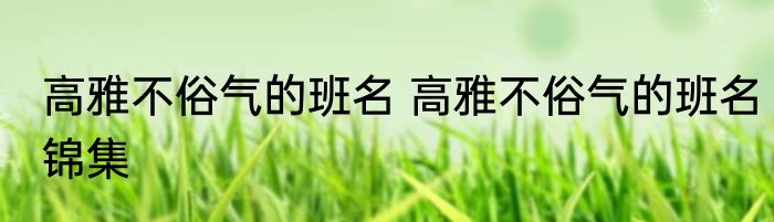 高雅不俗气的班名 高雅不俗气的班名锦集