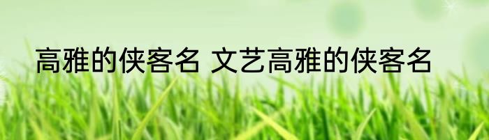 高雅的侠客名 文艺高雅的侠客名