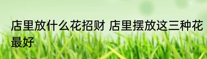 店里放什么花招财 店里摆放这三种花最好