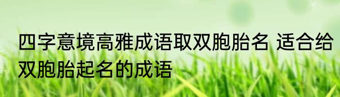 四字意境高雅成语取双胞胎名 适合给双胞胎起名的成语