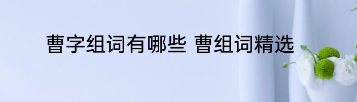 曹字组词有哪些 曹组词精选