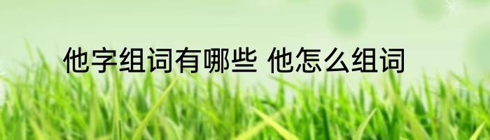 他字组词有哪些 他怎么组词
