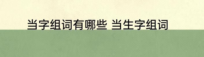 当字组词有哪些 当生字组词