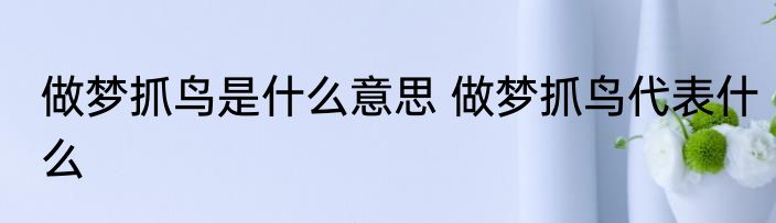 做梦抓鸟是什么意思 做梦抓鸟代表什么