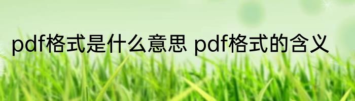 pdf格式是什么意思 pdf格式的含义