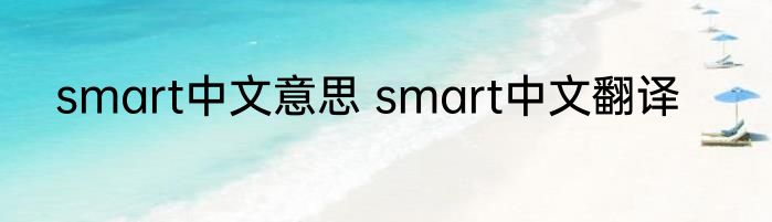 smart中文意思 smart中文翻译