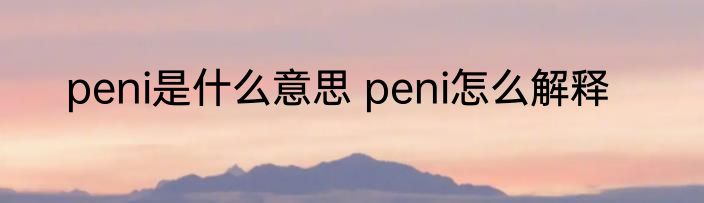 peni是什么意思 peni怎么解释