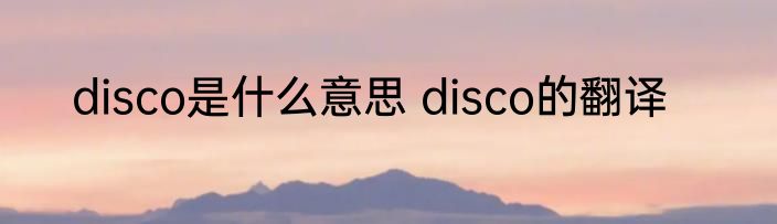 disco是什么意思 disco的翻译