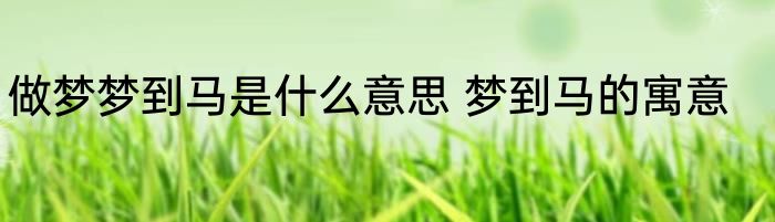 做梦梦到马是什么意思 梦到马的寓意