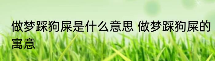做梦踩狗屎是什么意思 做梦踩狗屎的寓意