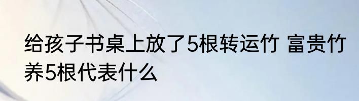 给孩子书桌上放了5根转运竹 富贵竹养5根代表什么