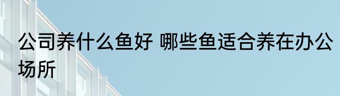 公司养什么鱼好 哪些鱼适合养在办公场所