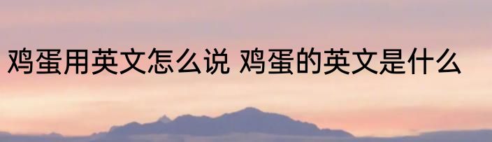 鸡蛋用英文怎么说 鸡蛋的英文是什么