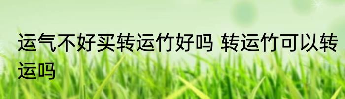 运气不好买转运竹好吗 转运竹可以转运吗