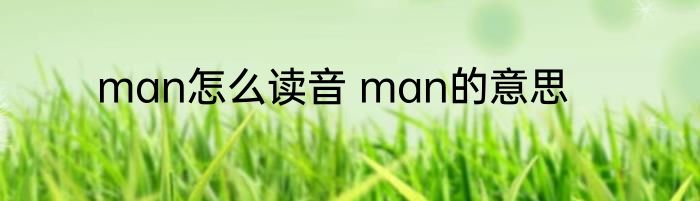 man怎么读音 man的意思