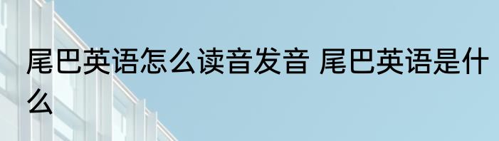 尾巴英语怎么读音发音 尾巴英语是什么