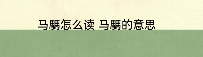 马騳怎么读 马騳的意思