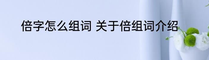 倍字怎么组词 关于倍组词介绍