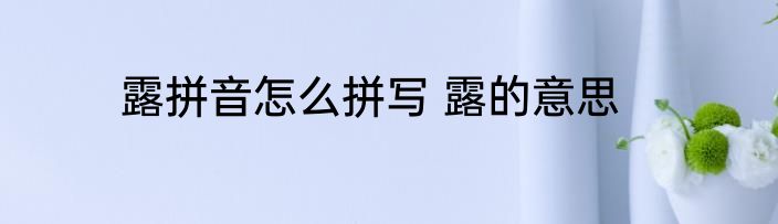 露拼音怎么拼写 露的意思