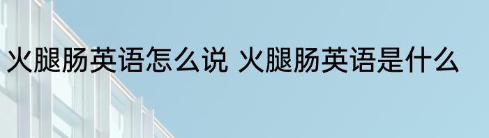 火腿肠英语怎么说 火腿肠英语是什么