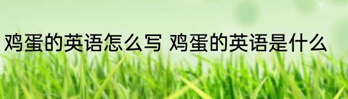 鸡蛋的英语怎么写 鸡蛋的英语是什么