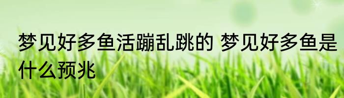 梦见好多鱼活蹦乱跳的 梦见好多鱼是什么预兆