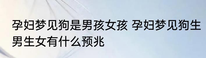 孕妇梦见狗是男孩女孩 孕妇梦见狗生男生女有什么预兆