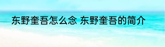 东野奎吾怎么念 东野奎吾的简介