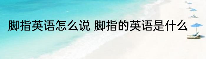 脚指英语怎么说 脚指的英语是什么