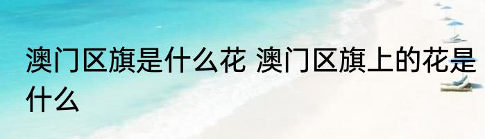 澳门区旗是什么花 澳门区旗上的花是什么