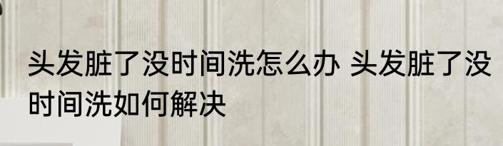 头发脏了没时间洗怎么办 头发脏了没时间洗如何解决